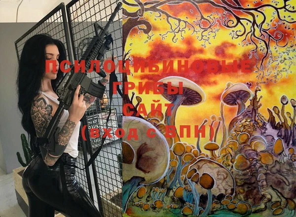 Альфа ПВП Чекалин