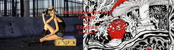 молекула духа Чегем